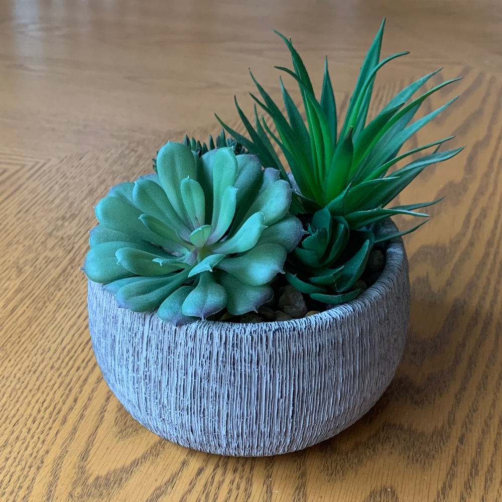 Faux Potted Cactus Arrangement